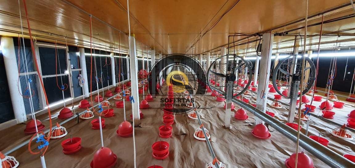 Fazenda, 8 m² - Foto 19