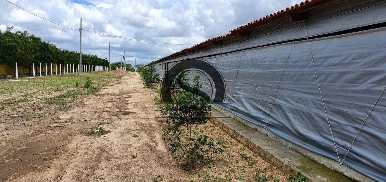 Fazenda à venda com 3 quartos, 8m² - Foto 10