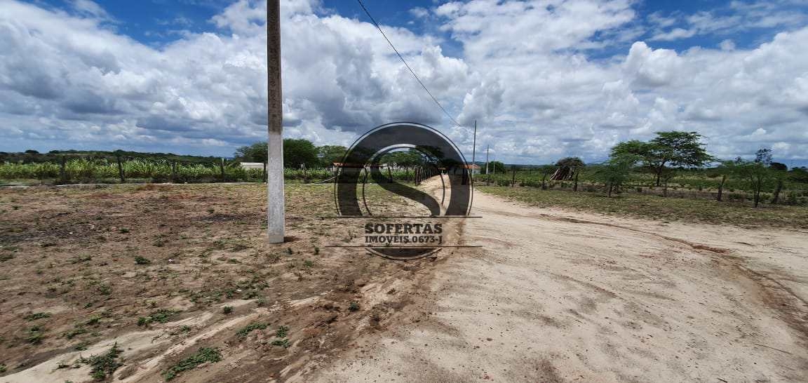 Fazenda à venda com 3 quartos, 8m² - Foto 21