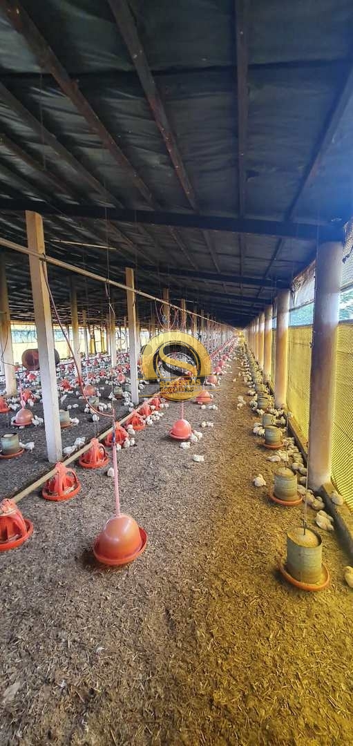 Fazenda, 8 m² - Foto 39