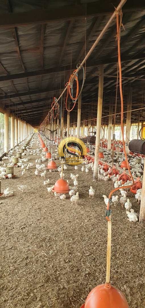 Fazenda, 8 m² - Foto 35