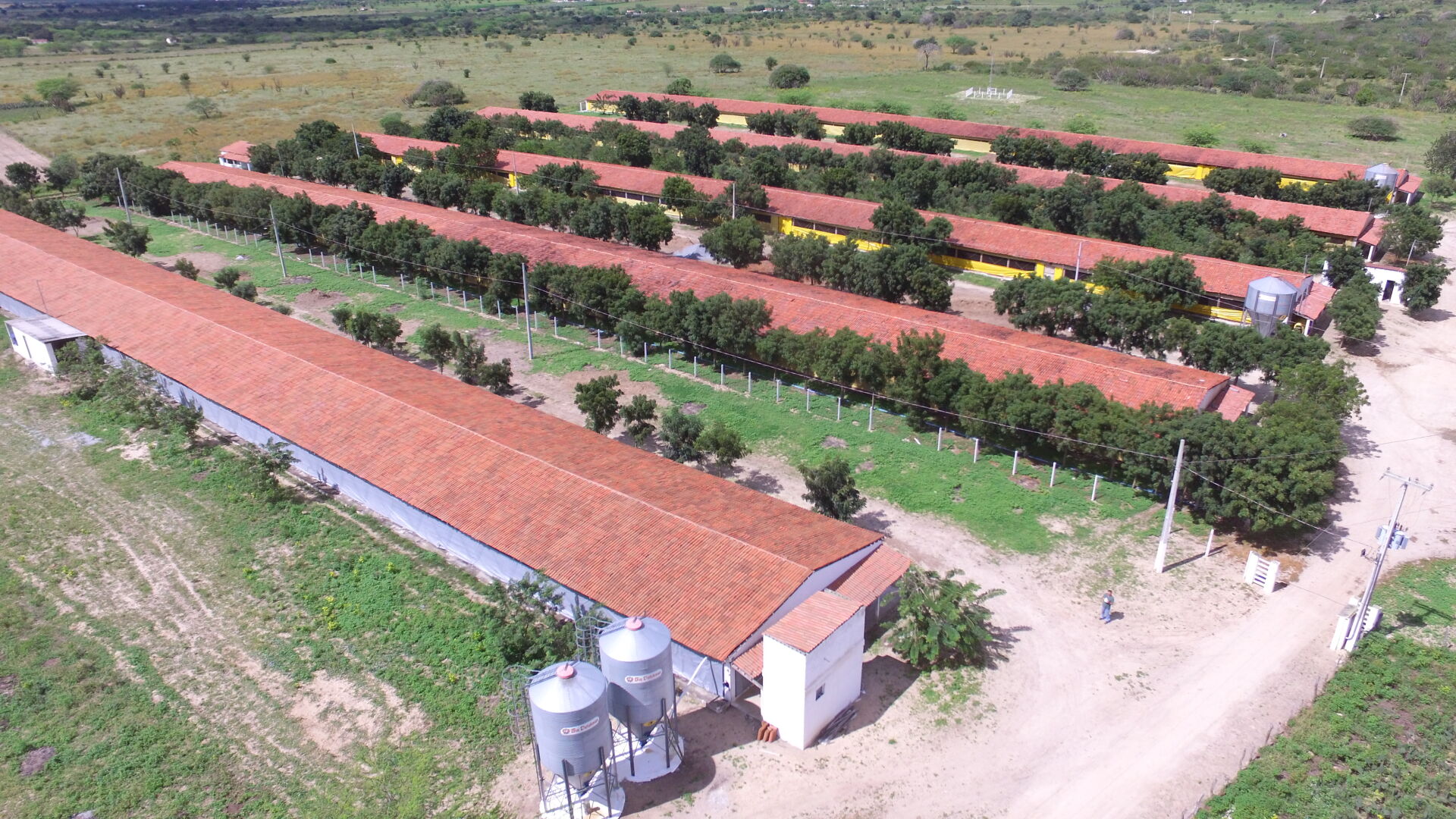 Fazenda à venda com 3 quartos, 8m² - Foto 33