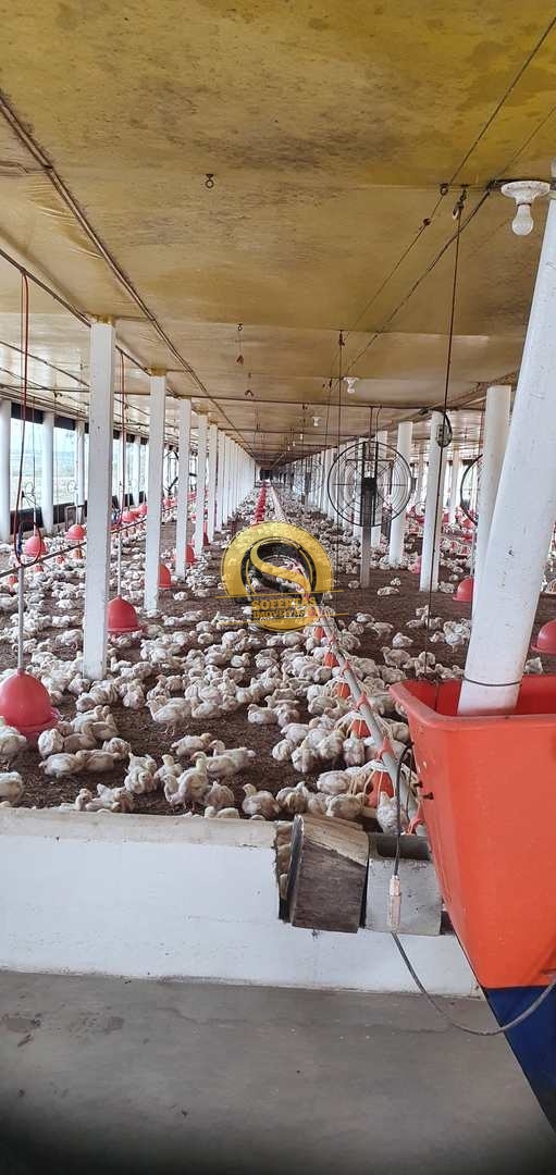 Fazenda, 8 m² - Foto 2