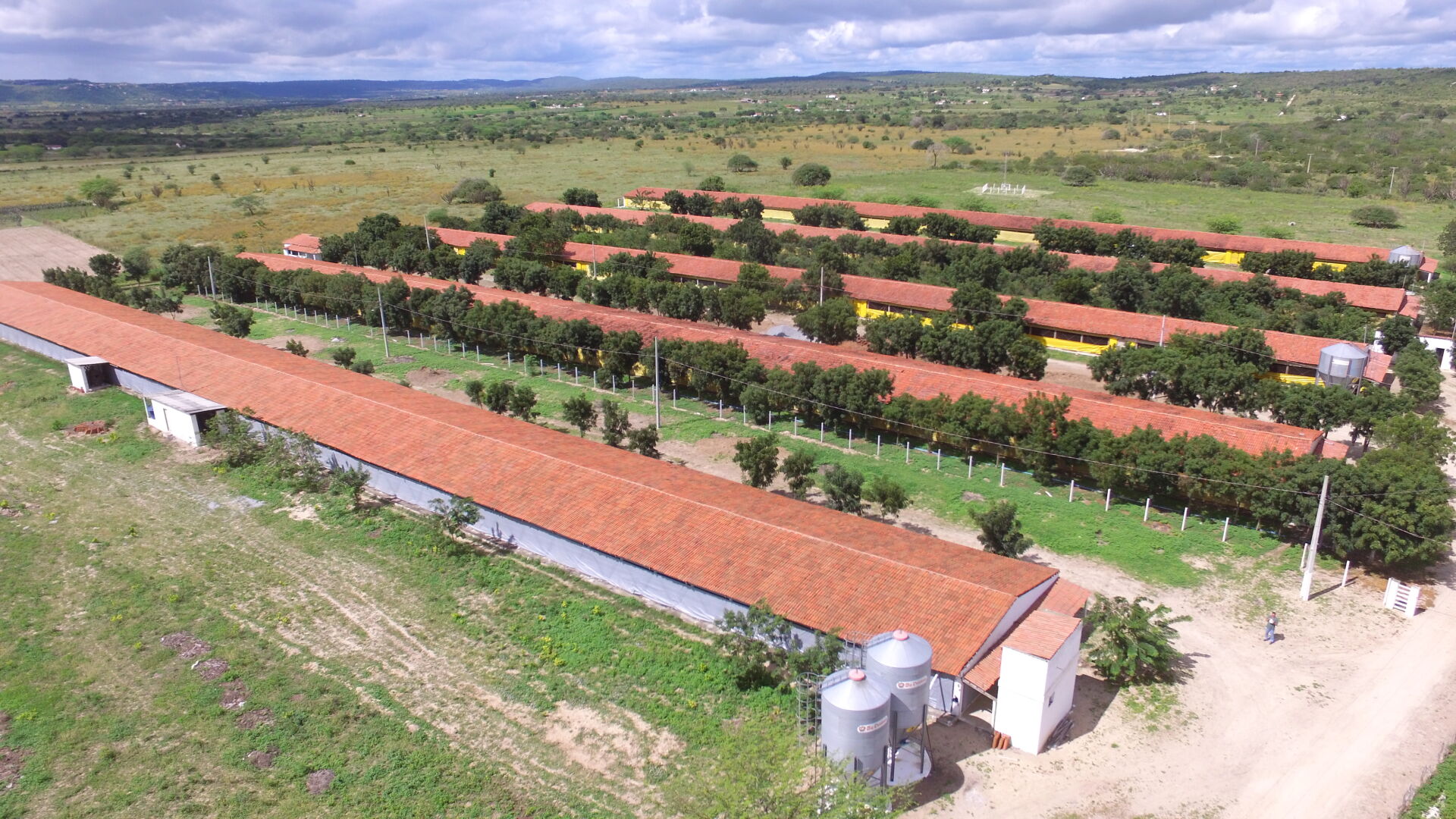 Fazenda à venda com 3 quartos, 8m² - Foto 36