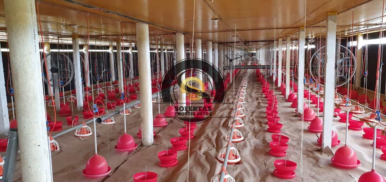 Fazenda, 8 m² - Foto 4