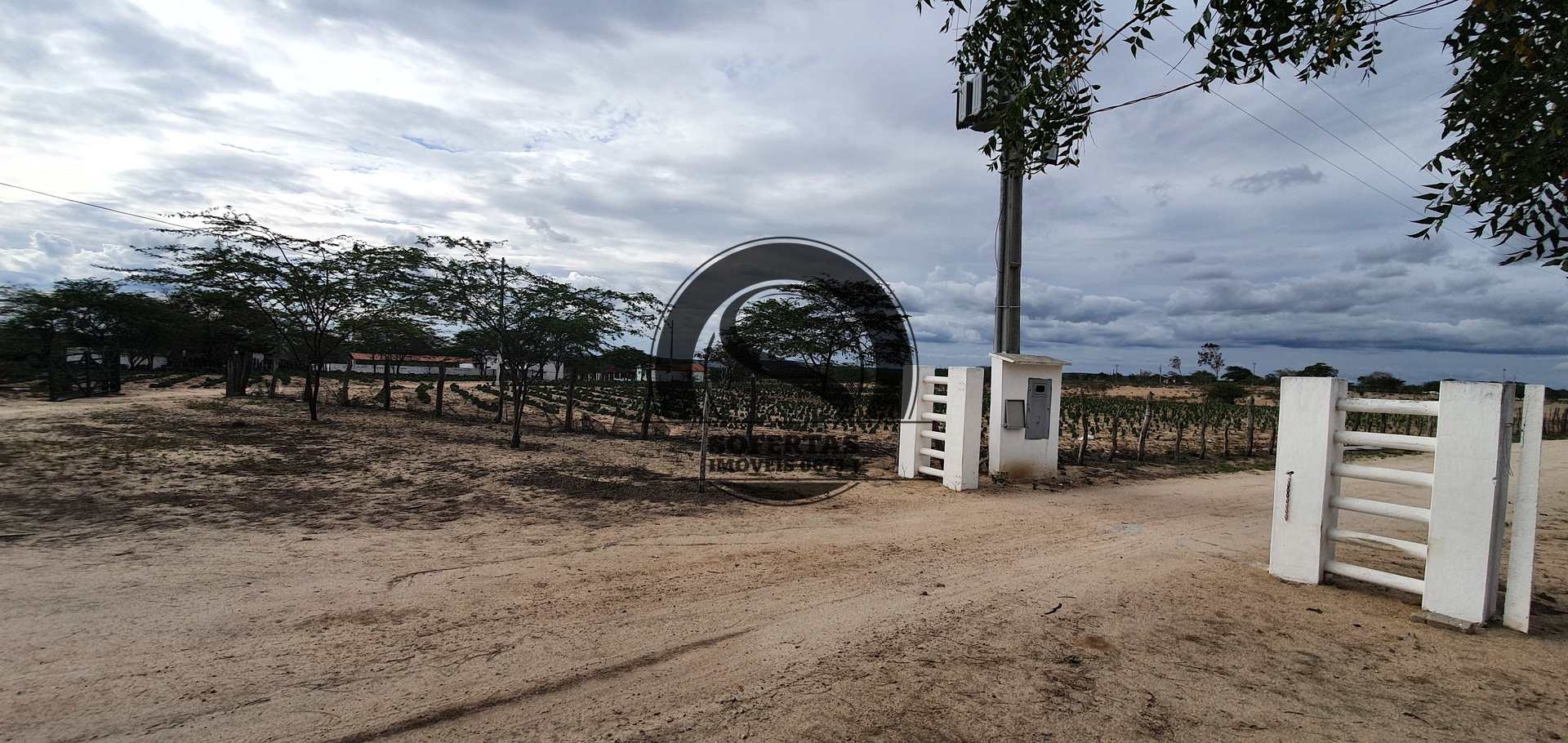 Fazenda à venda com 3 quartos, 8m² - Foto 11