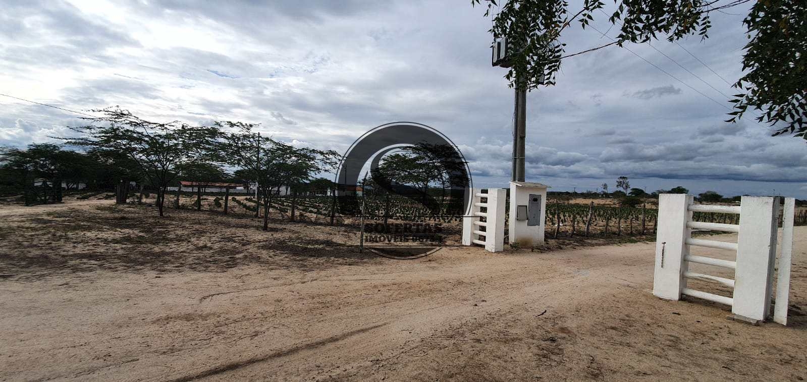 Fazenda à venda com 3 quartos, 8m² - Foto 37