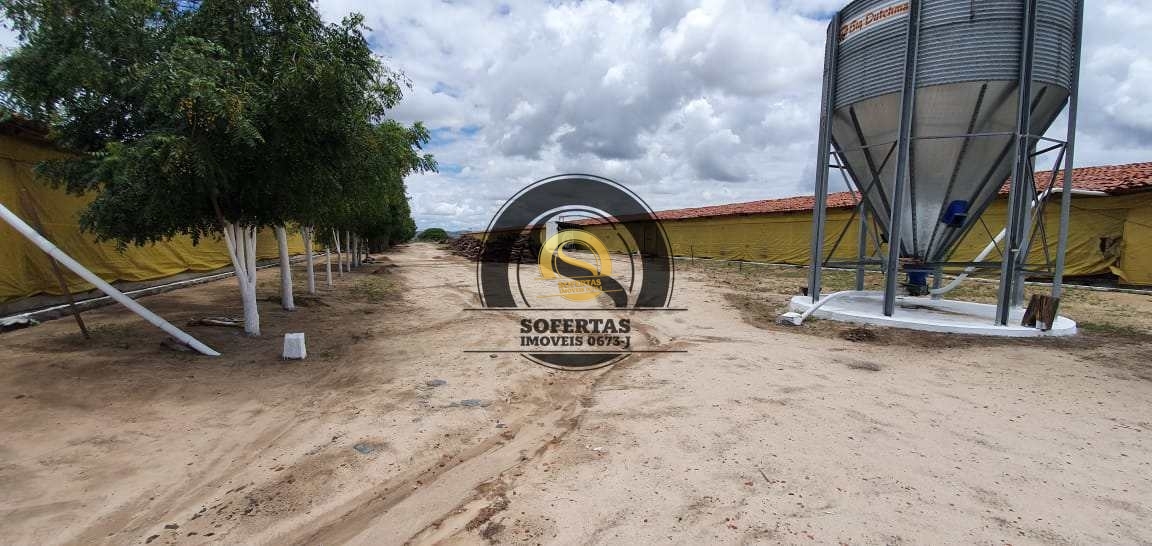 Fazenda, 8 m² - Foto 20