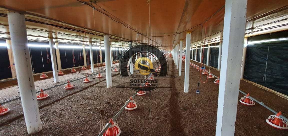 Fazenda, 8 m² - Foto 16