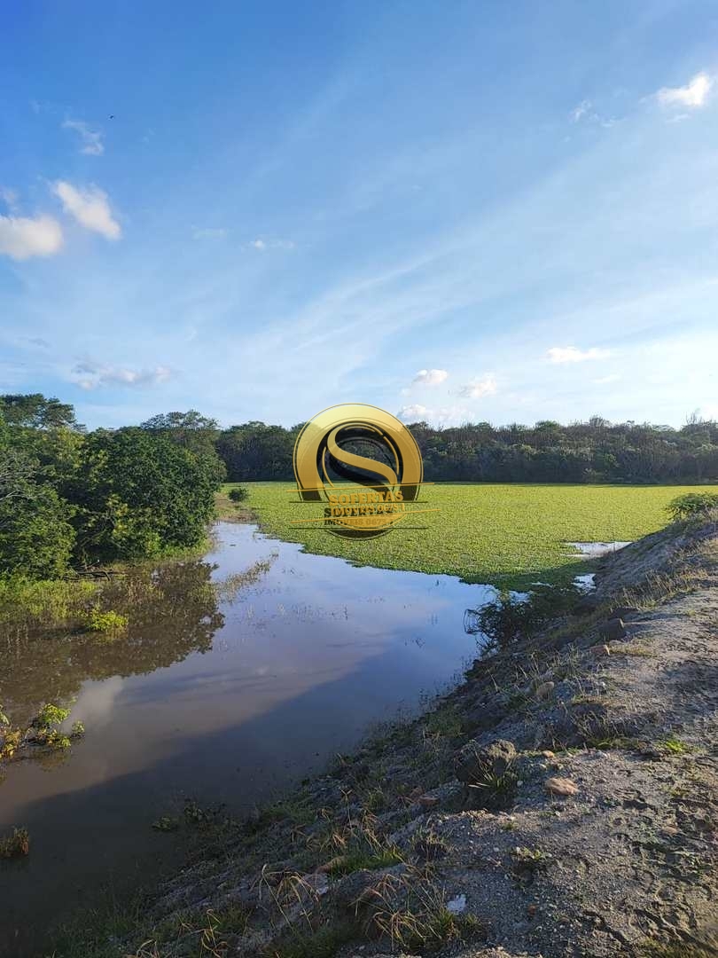 Fazenda, 8 m² - Foto 34