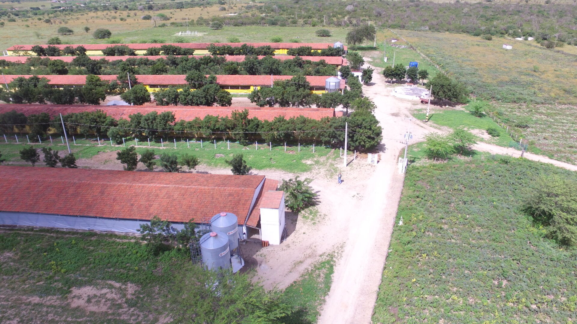 Fazenda à venda com 3 quartos, 8m² - Foto 14