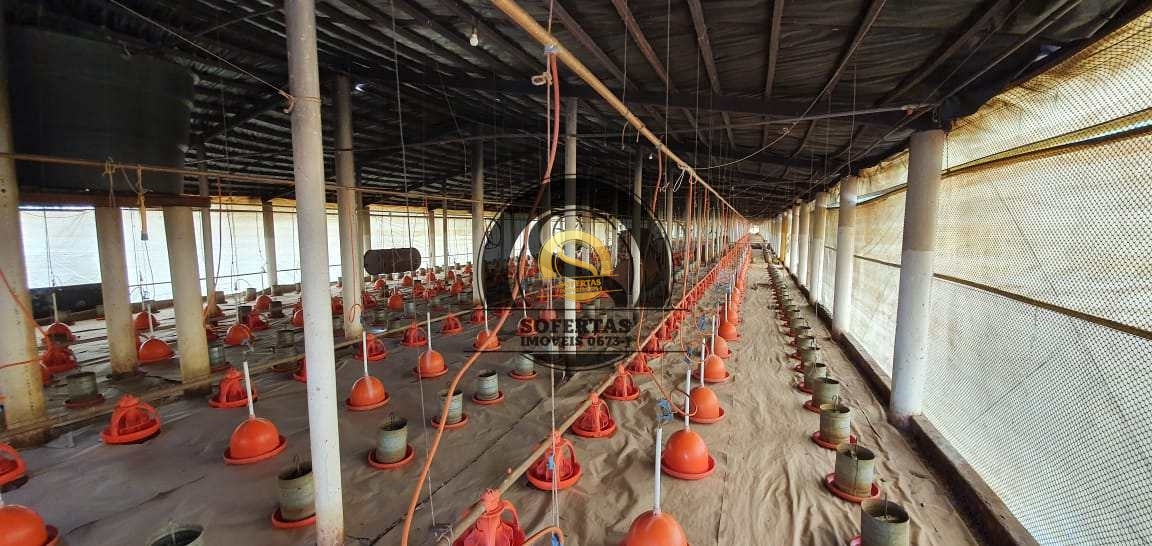 Fazenda, 8 m² - Foto 7