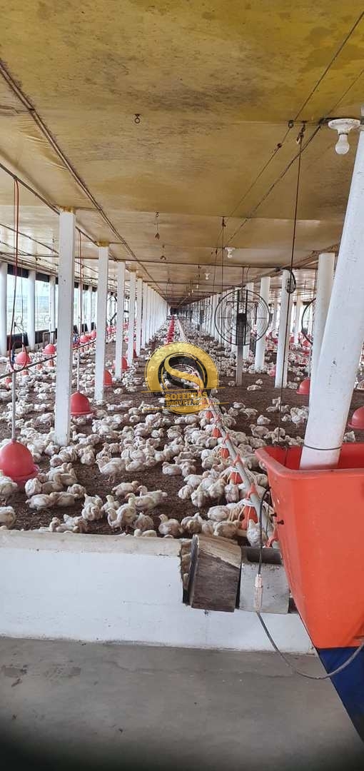 Fazenda, 8 m² - Foto 25