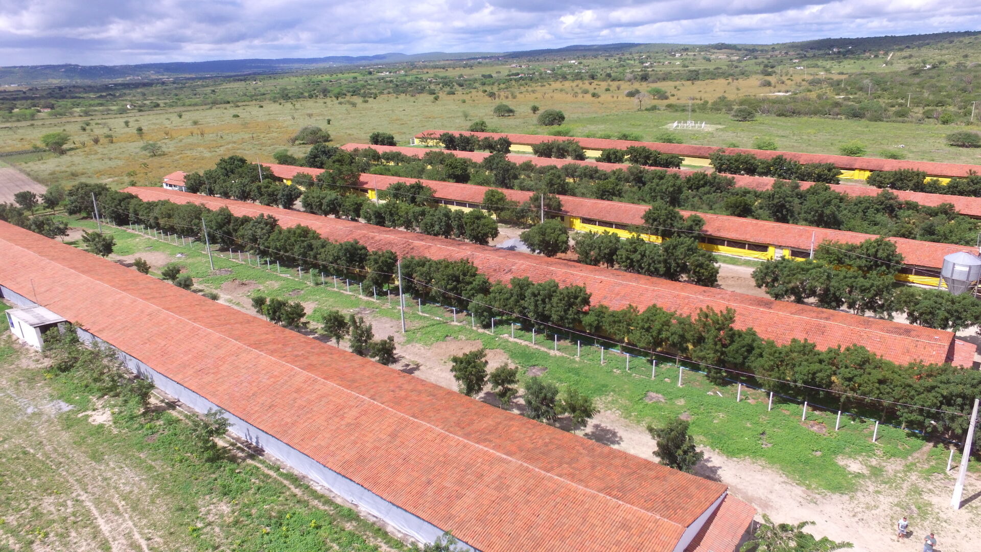 Fazenda à venda com 3 quartos, 8m² - Foto 28