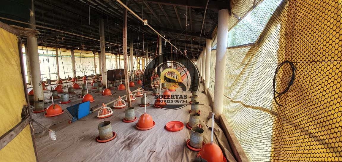 Fazenda, 8 m² - Foto 6