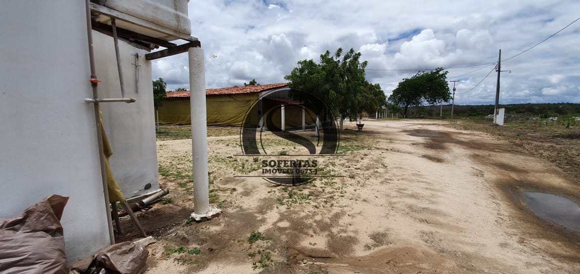 Fazenda à venda com 3 quartos, 8m² - Foto 18