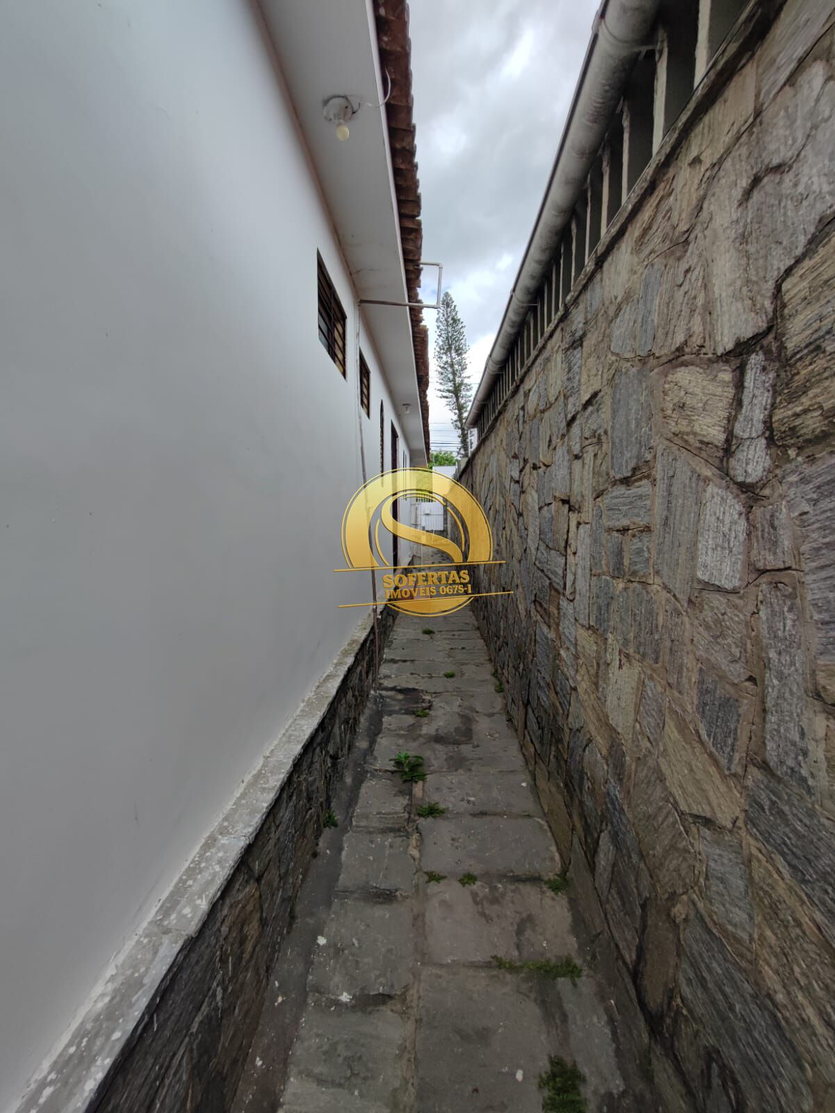 Casa, 4 quartos, 134 m² - Foto 5