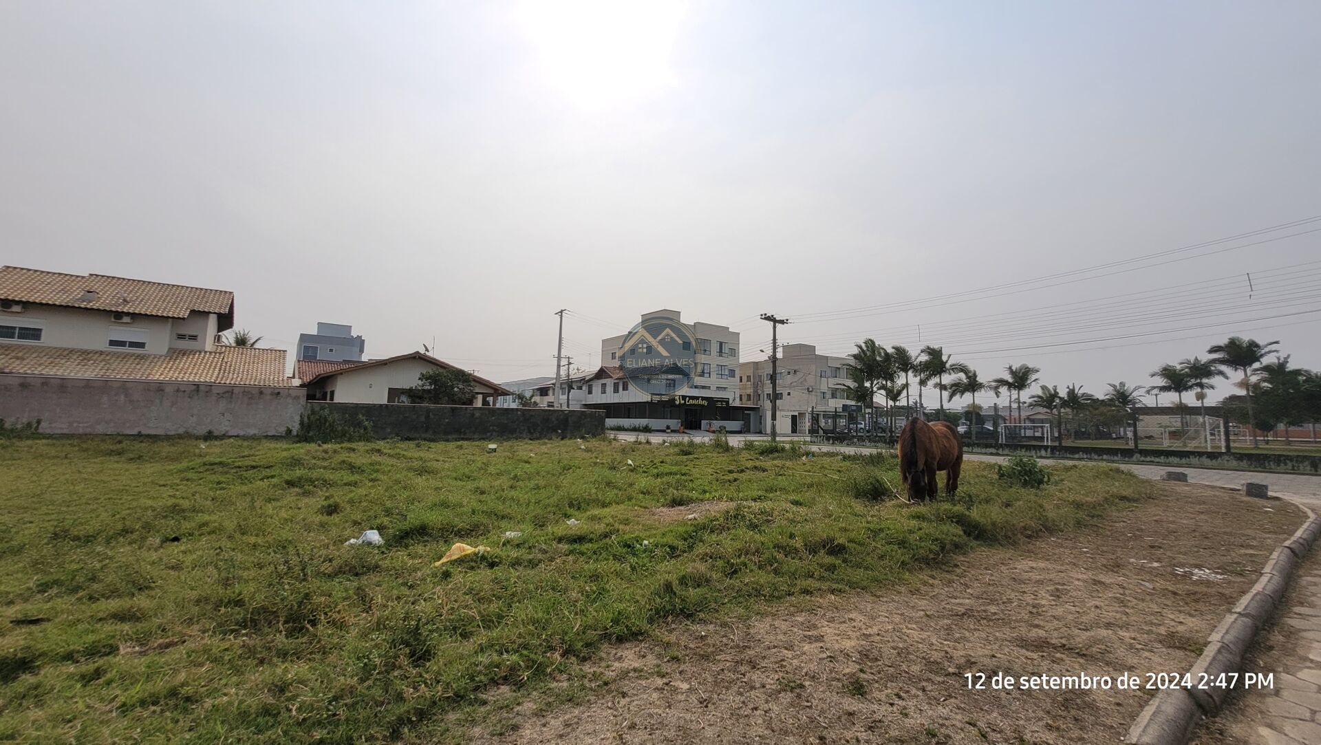 Terreno à venda, 370m² - Foto 3