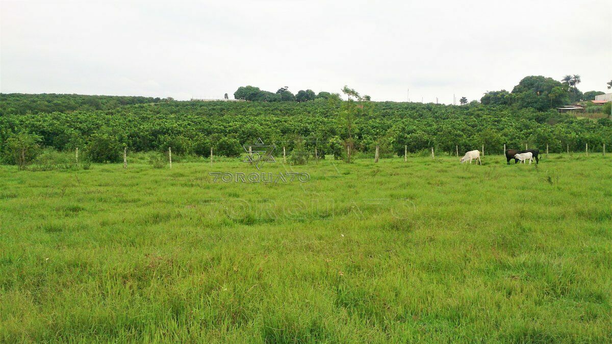 Terreno à venda, 72600m² - Foto 20