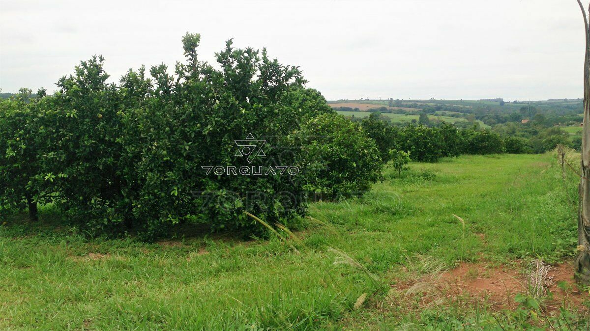 Terreno à venda, 72600m² - Foto 17