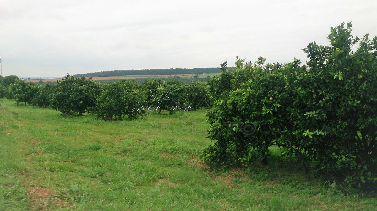 Terreno à venda, 72600m² - Foto 15