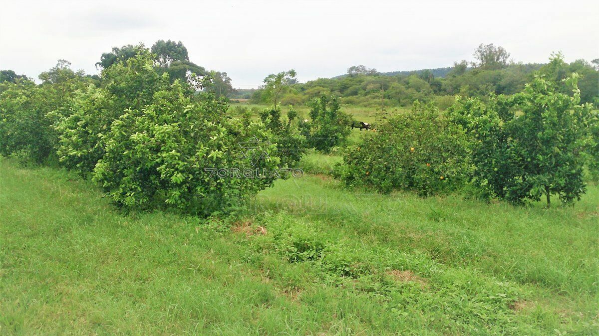 Terreno à venda, 72600m² - Foto 13