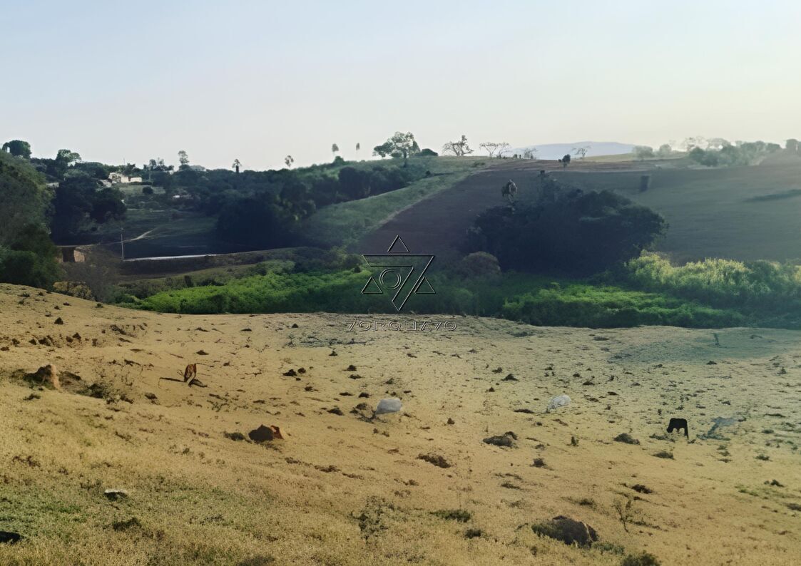 Terreno à venda, 3000m² - Foto 2