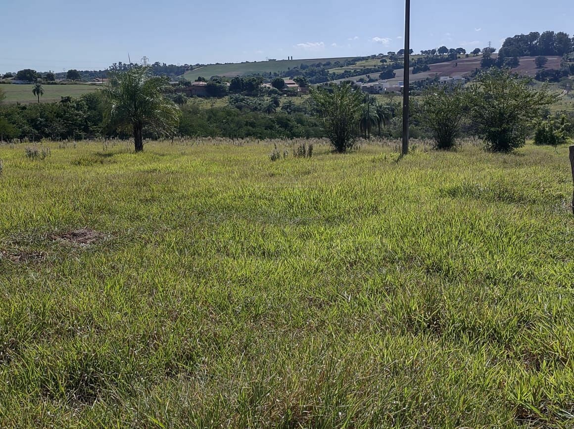 Fazenda à venda, 24200m² - Foto 8