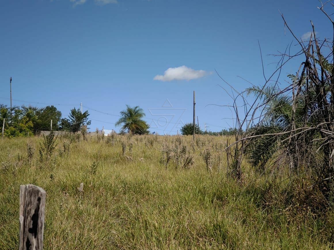 Fazenda à venda, 24200m² - Foto 6