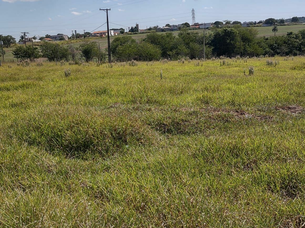 Fazenda à venda, 24200m² - Foto 9