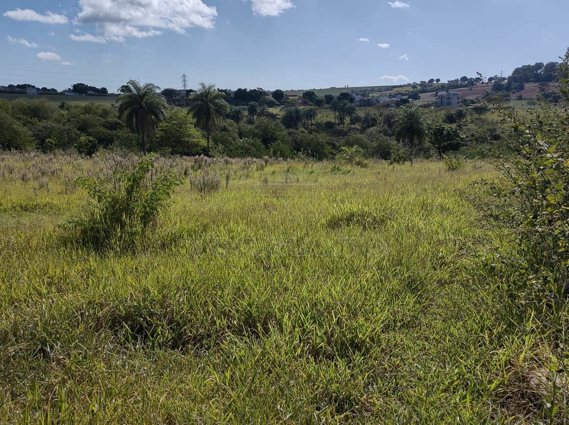 Fazenda à venda, 24200m² - Foto 5