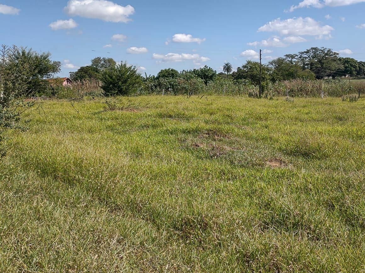 Fazenda à venda, 24200m² - Foto 10