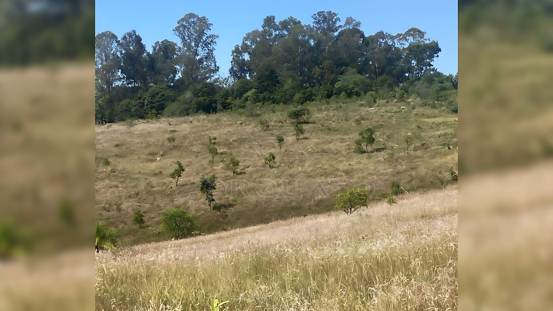 Fazenda à venda, 1000000m² - Foto 3