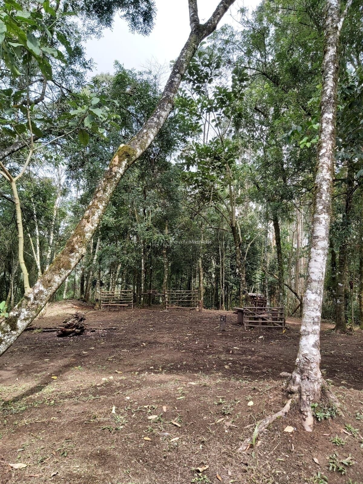 Fazenda à venda com 2 quartos, 50000m² - Foto 36