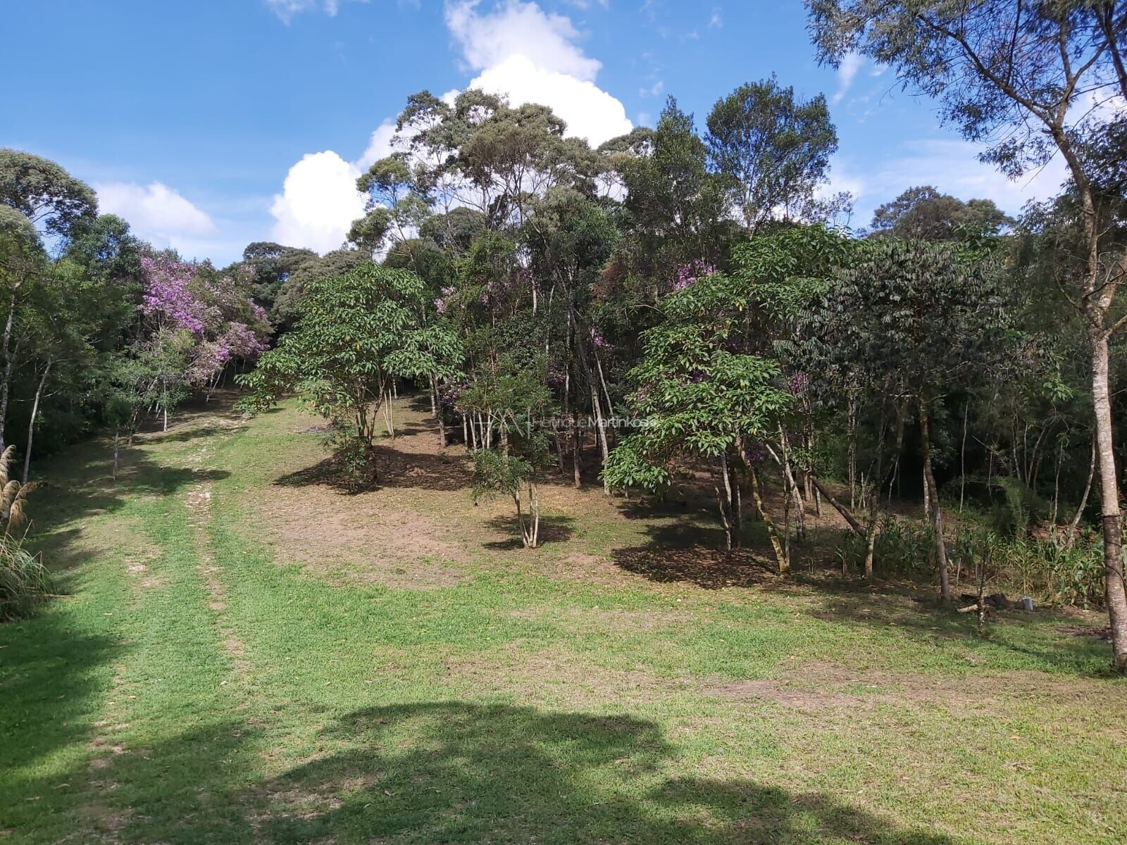 Fazenda à venda com 2 quartos, 50000m² - Foto 6