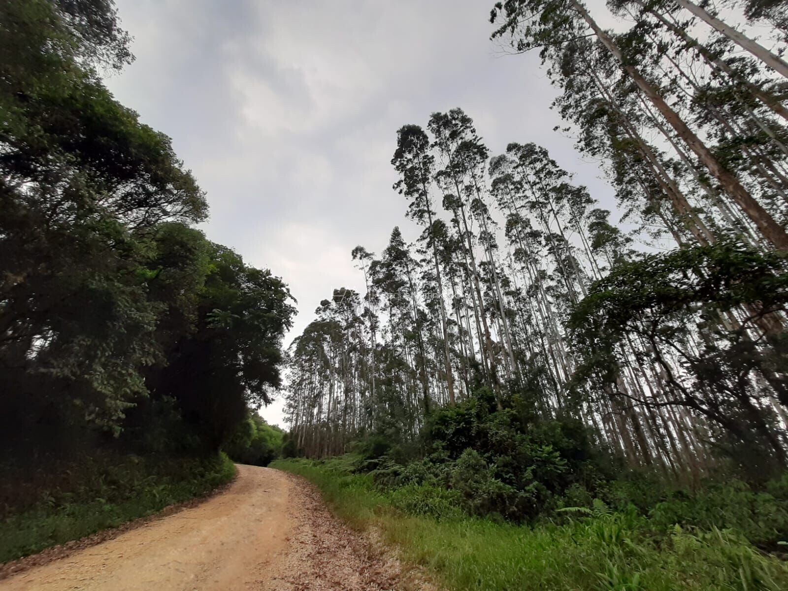 Fazenda à venda com 1 quarto, 127997m² - Foto 17