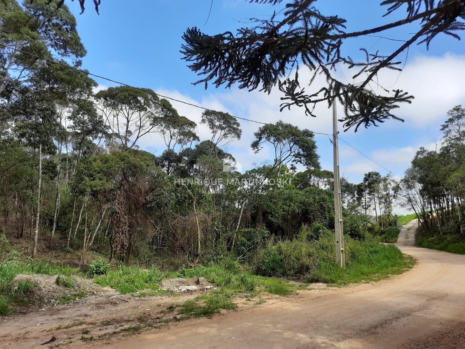 Chácara à venda com 1 quarto, 58665m² - Foto 13