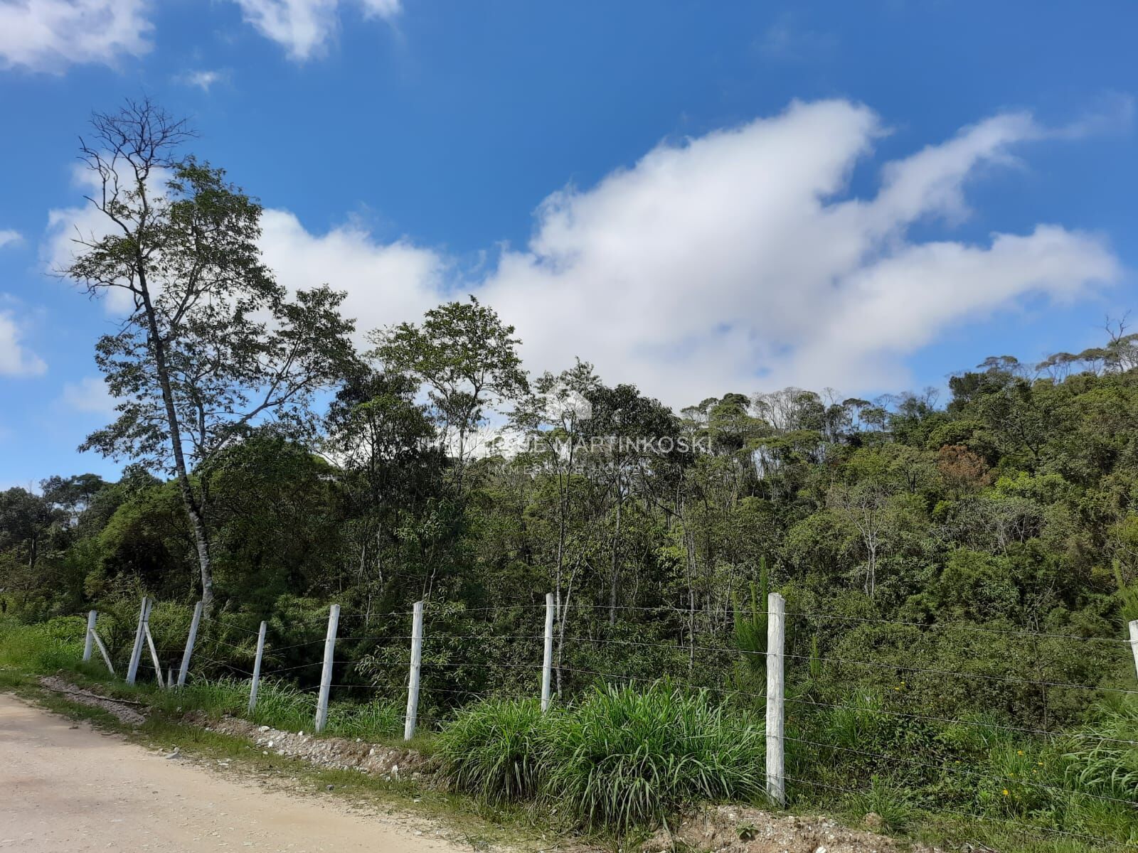 Chácara à venda com 1 quarto, 58665m² - Foto 10