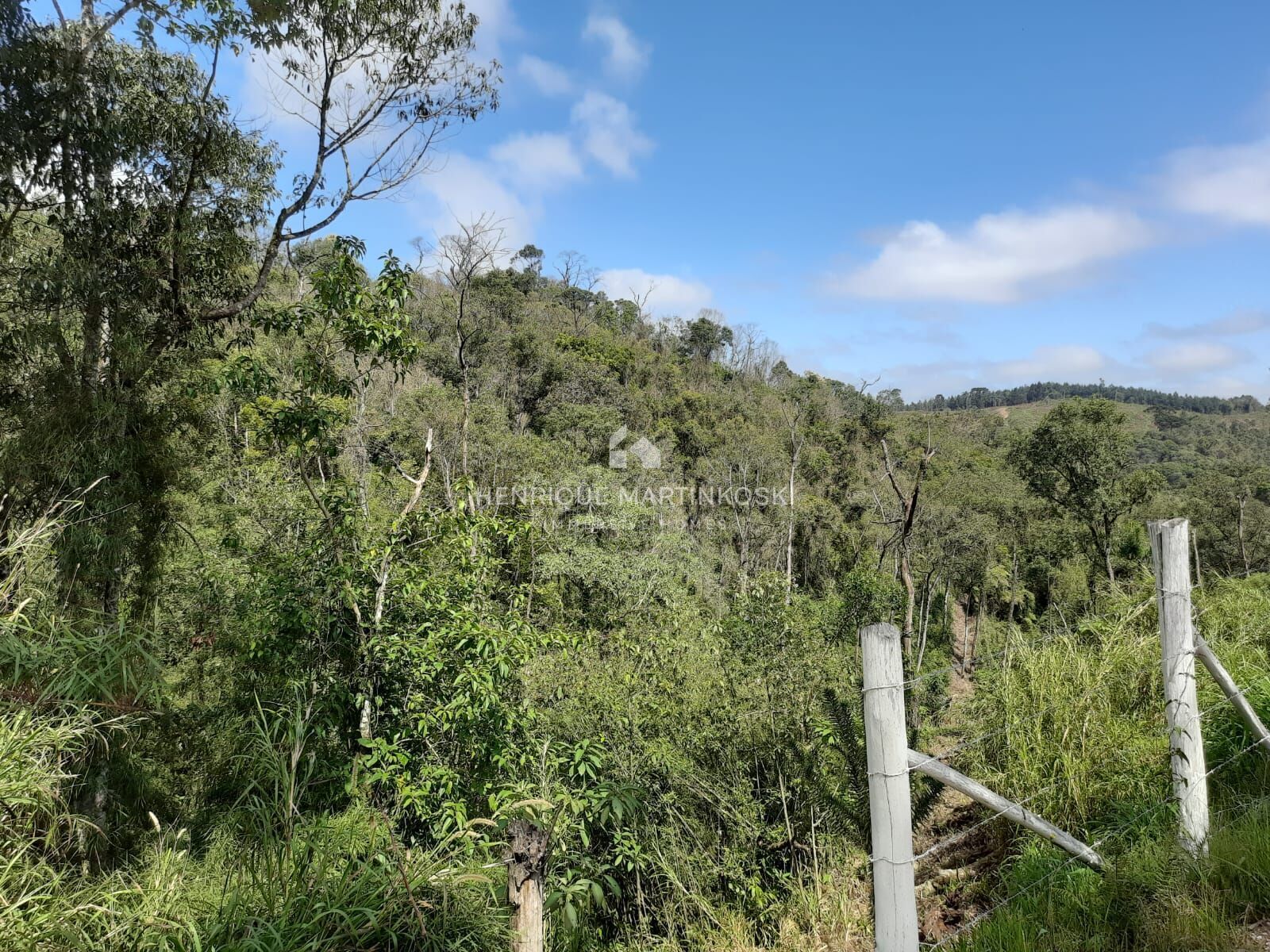 Chácara à venda com 1 quarto, 58665m² - Foto 11