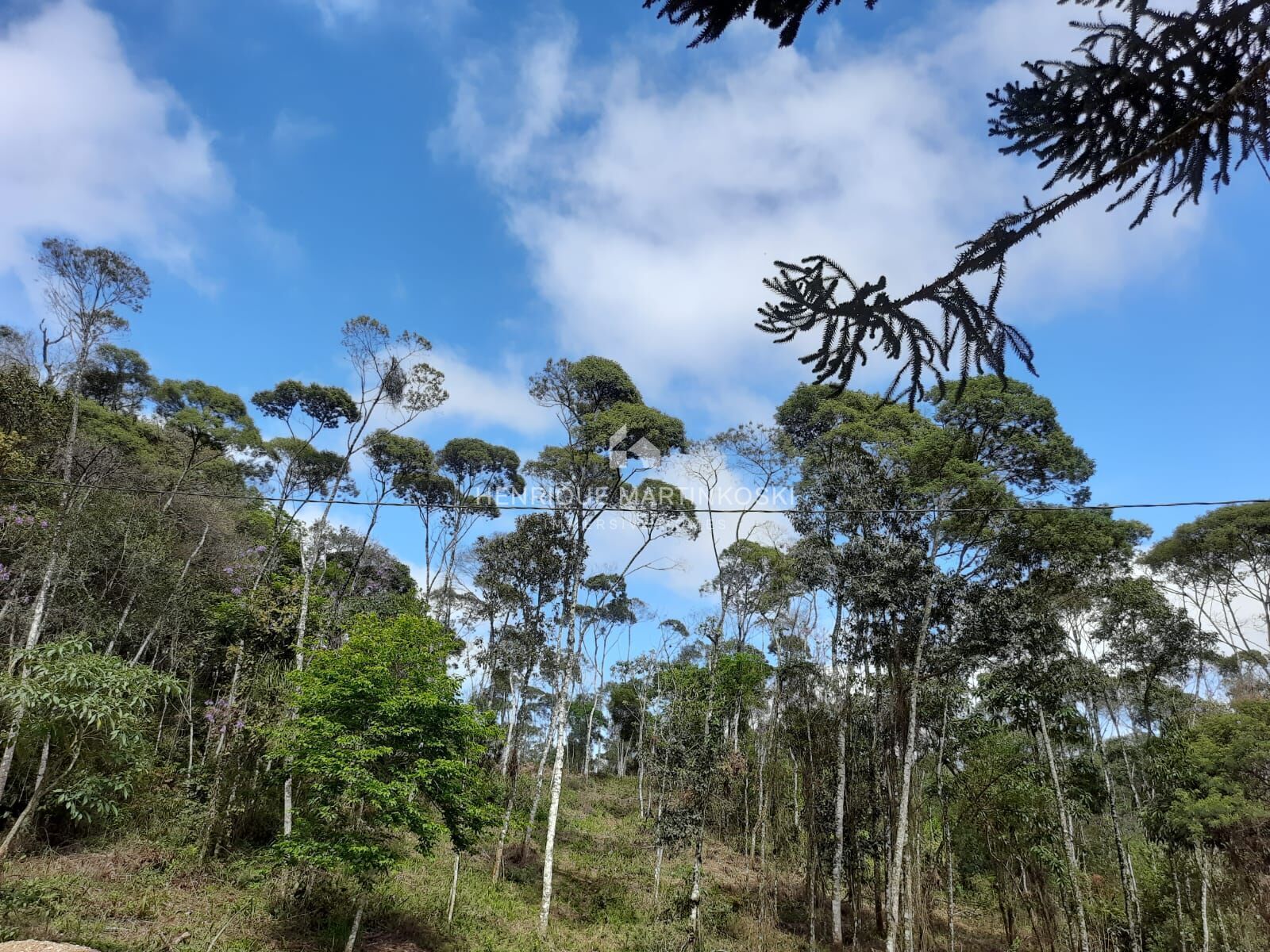 Chácara à venda com 1 quarto, 58665m² - Foto 2