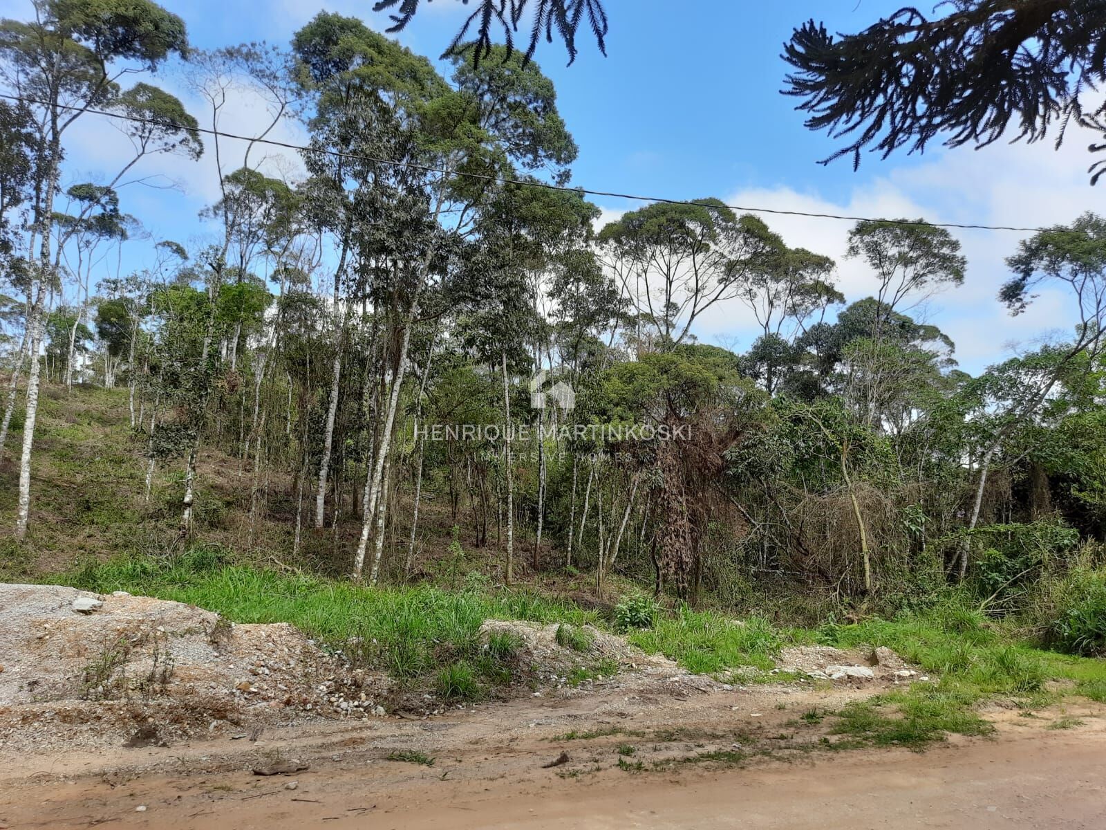 Chácara à venda com 1 quarto, 58665m² - Foto 14