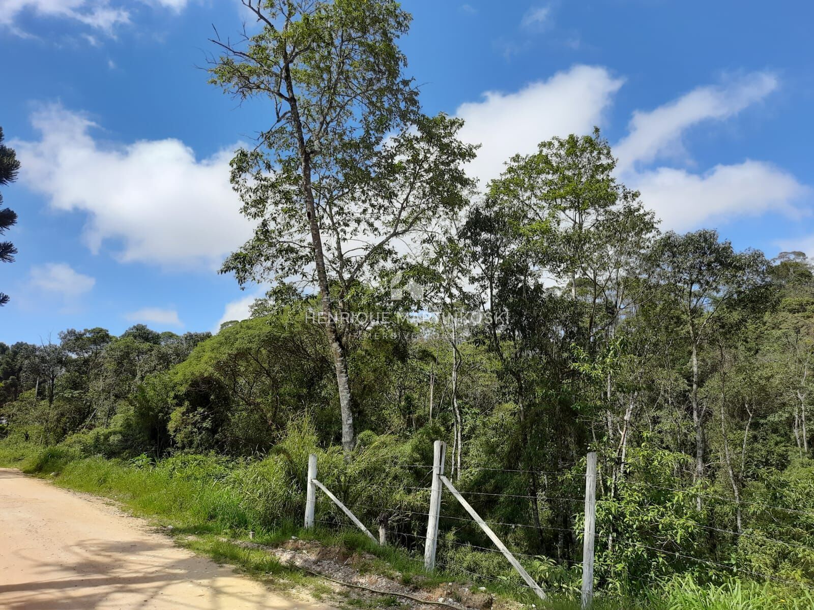 Chácara à venda com 1 quarto, 58665m² - Foto 8