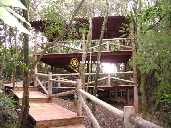 Apartamento, 3 quartos, 79 m² - Foto 24