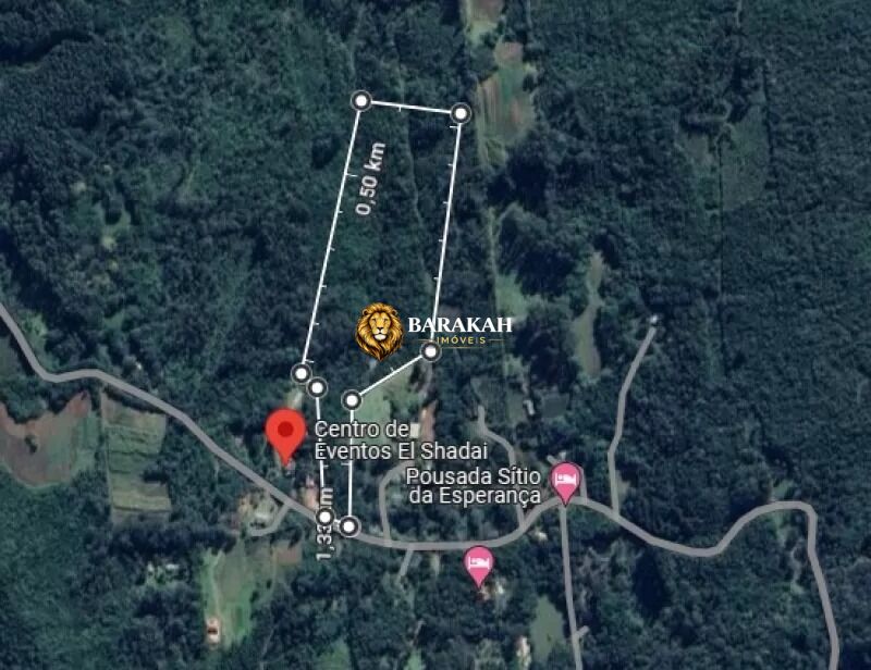 Sítio, 4 hectares - Foto 17