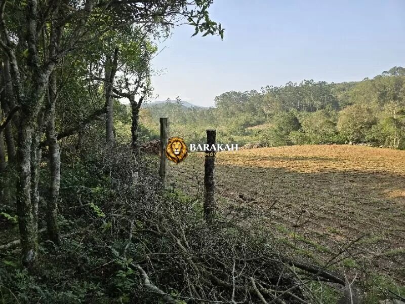 Sítio, 4 hectares - Foto 18