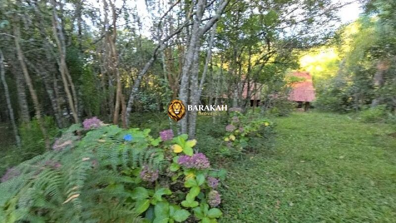 Sítio, 4 hectares - Foto 33