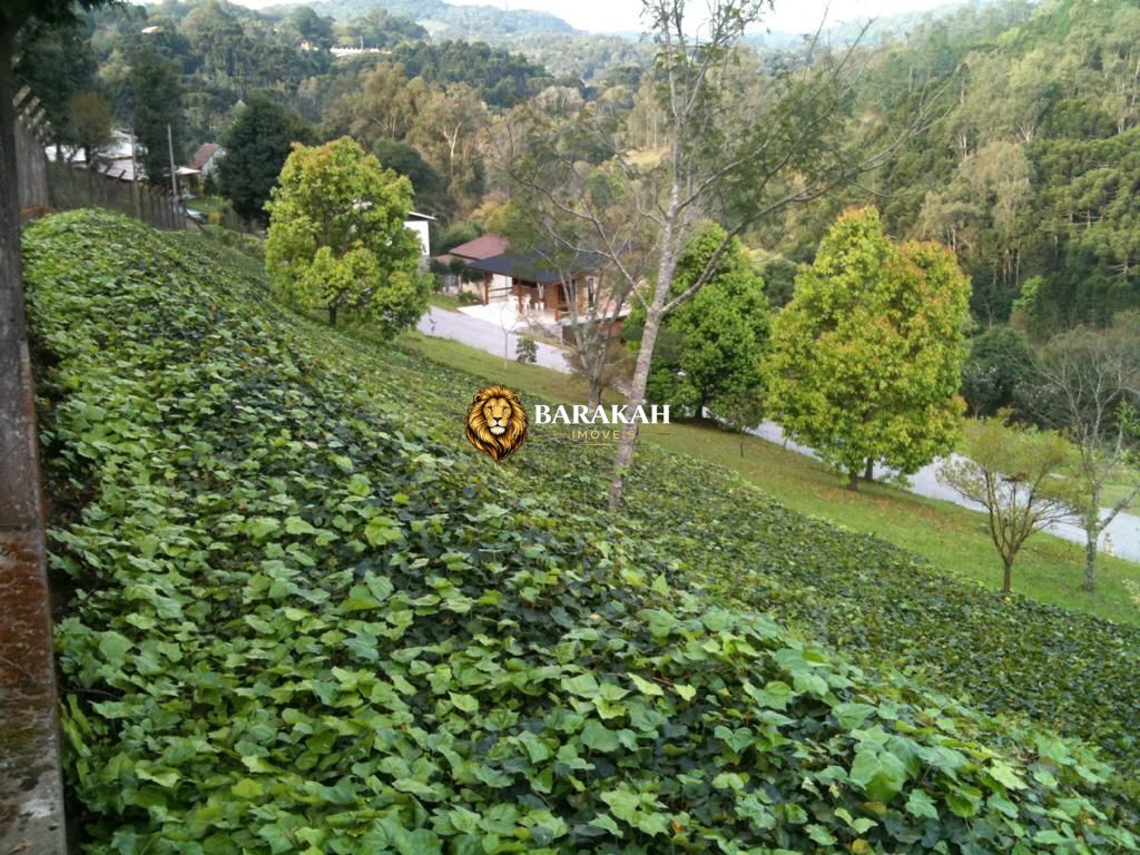 Chácara, 1 hectares - Foto 16