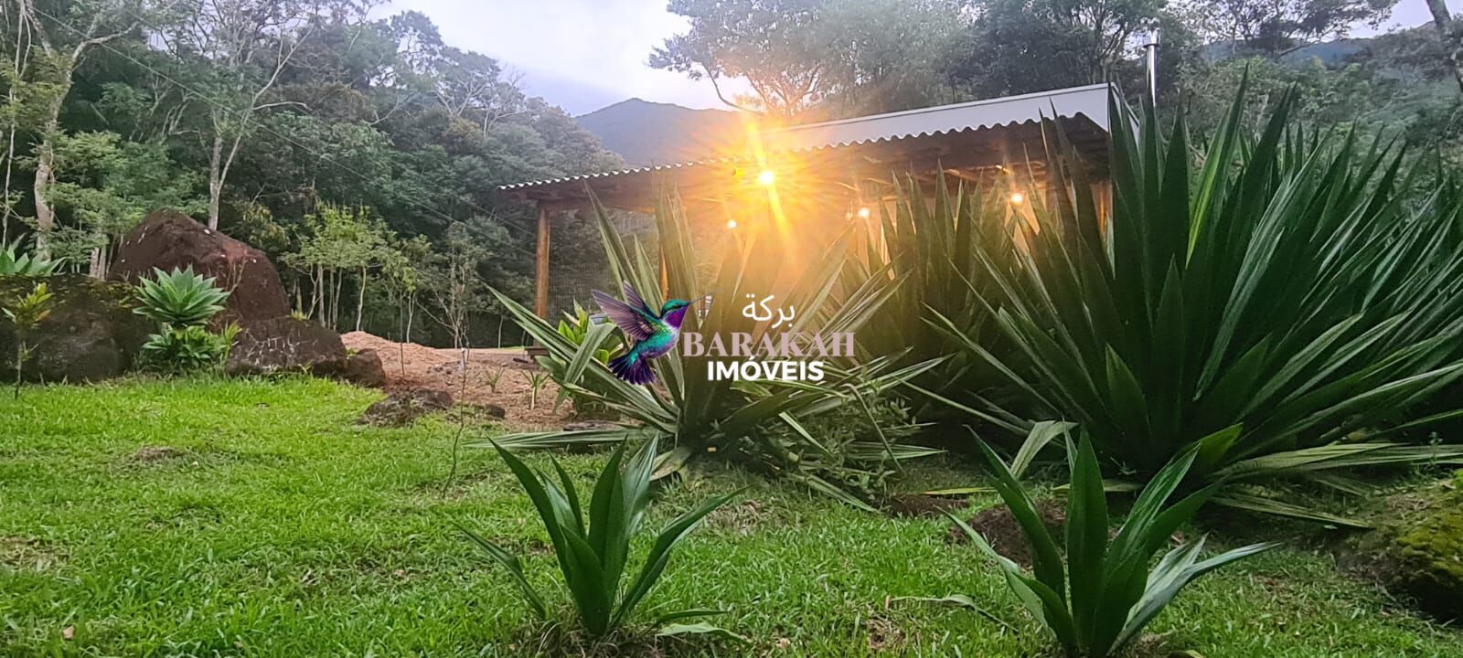 Sítio, 1 quarto, 3 hectares - Foto 1