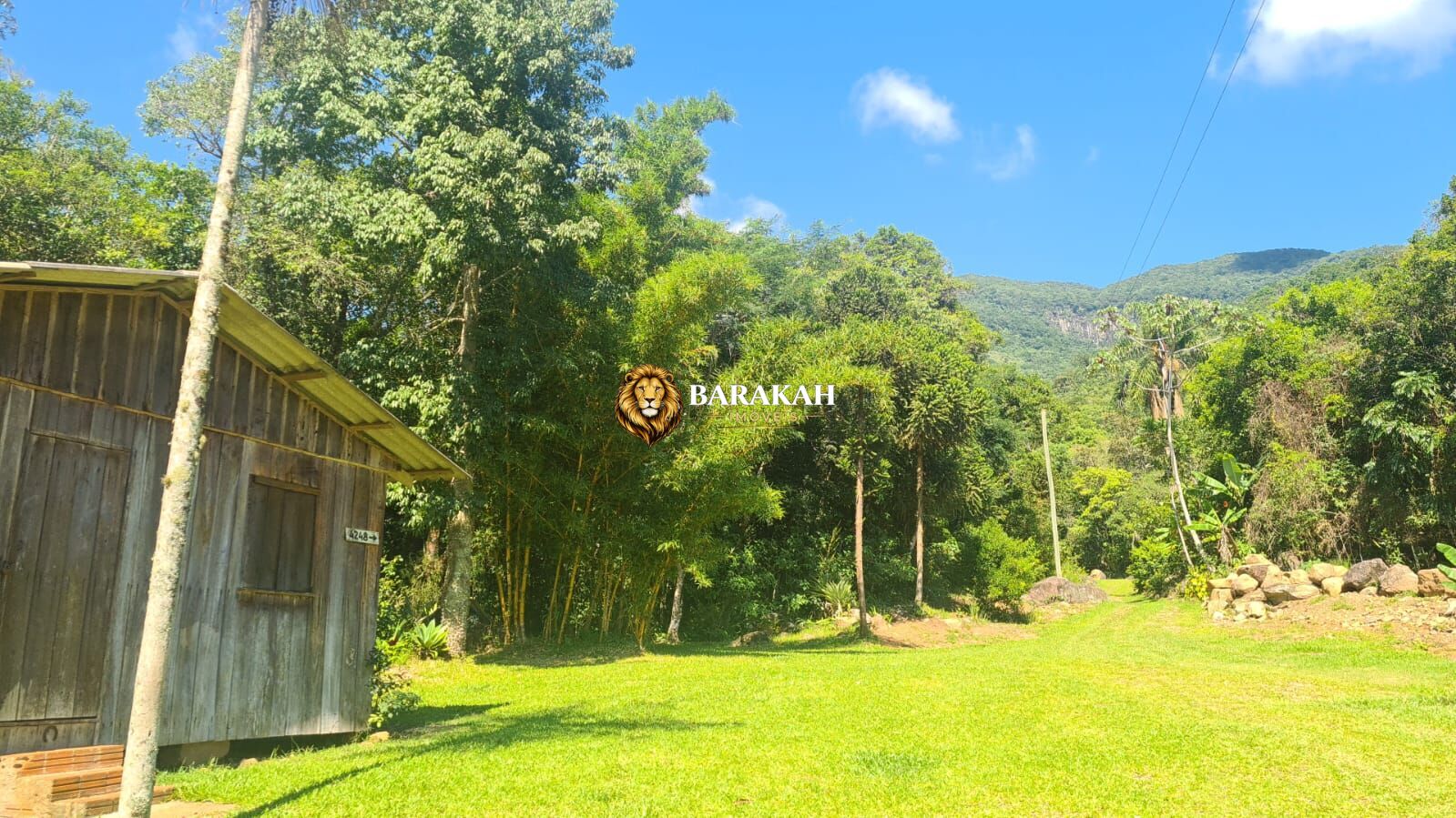 Sítio, 1 quarto, 3 hectares - Foto 8