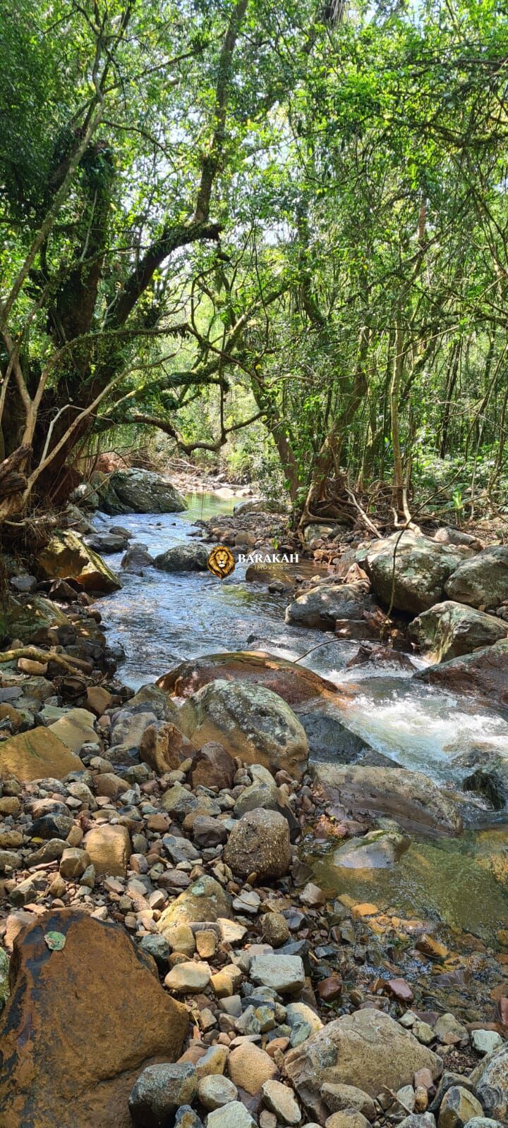 Sítio, 1 quarto, 3 hectares - Foto 7